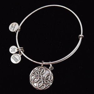 Alex And Ani Path Of Life Knowledge Strength Motivation Charm Bracelet Bangle